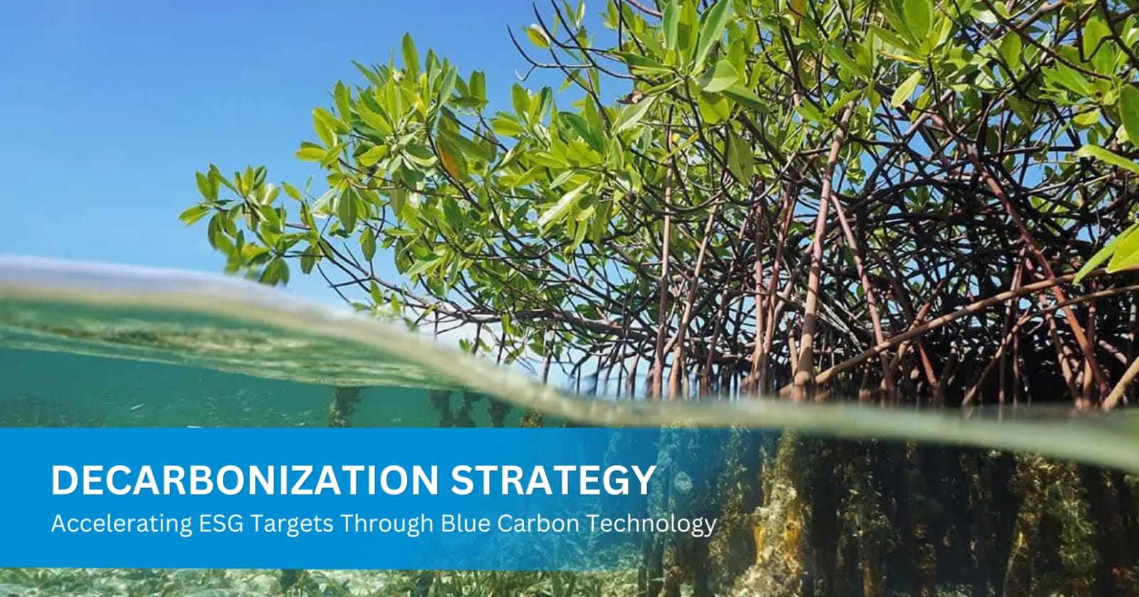 DECARBONIZATION STRATEGY: ACCELERATION OF ESG TARGETS THROUGH BLUE CARBON TECHNOLOGY 
